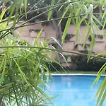 Puerto De La Cruz: Loft, Terraza Y Piscina