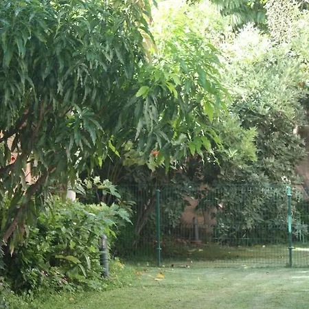 Apartamento Puerto De La Cruz: Loft, Terraza Y Piscina Puerto de la Cruz (Tenerife)