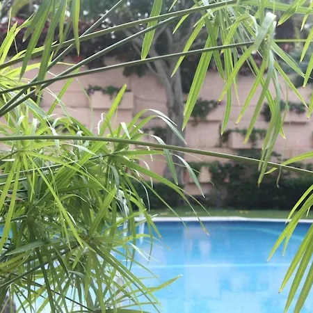 Puerto De La Cruz: Loft, Terraza Y Piscina