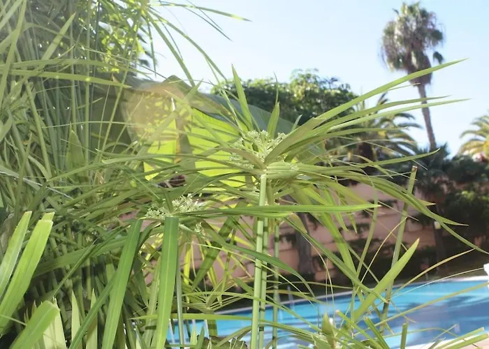 Puerto De La Cruz: Loft, Terraza Y Piscina *