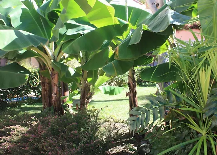 Puerto De La Cruz: Loft, Terraza Y Piscina * 拉克鲁斯