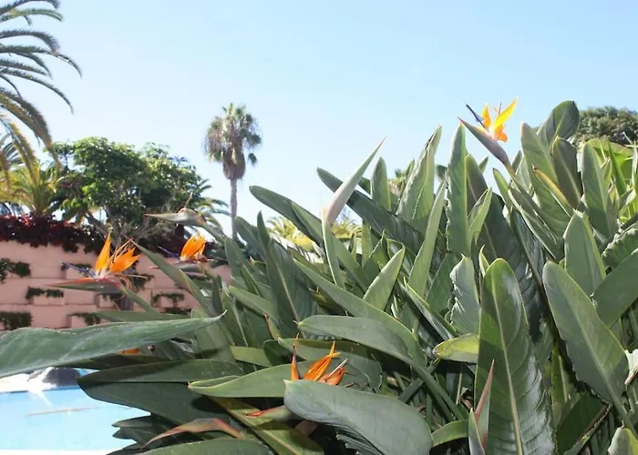 Puerto De La Cruz: Loft, Terraza Y Piscina * Puerto de la Cruz (Tenerife)